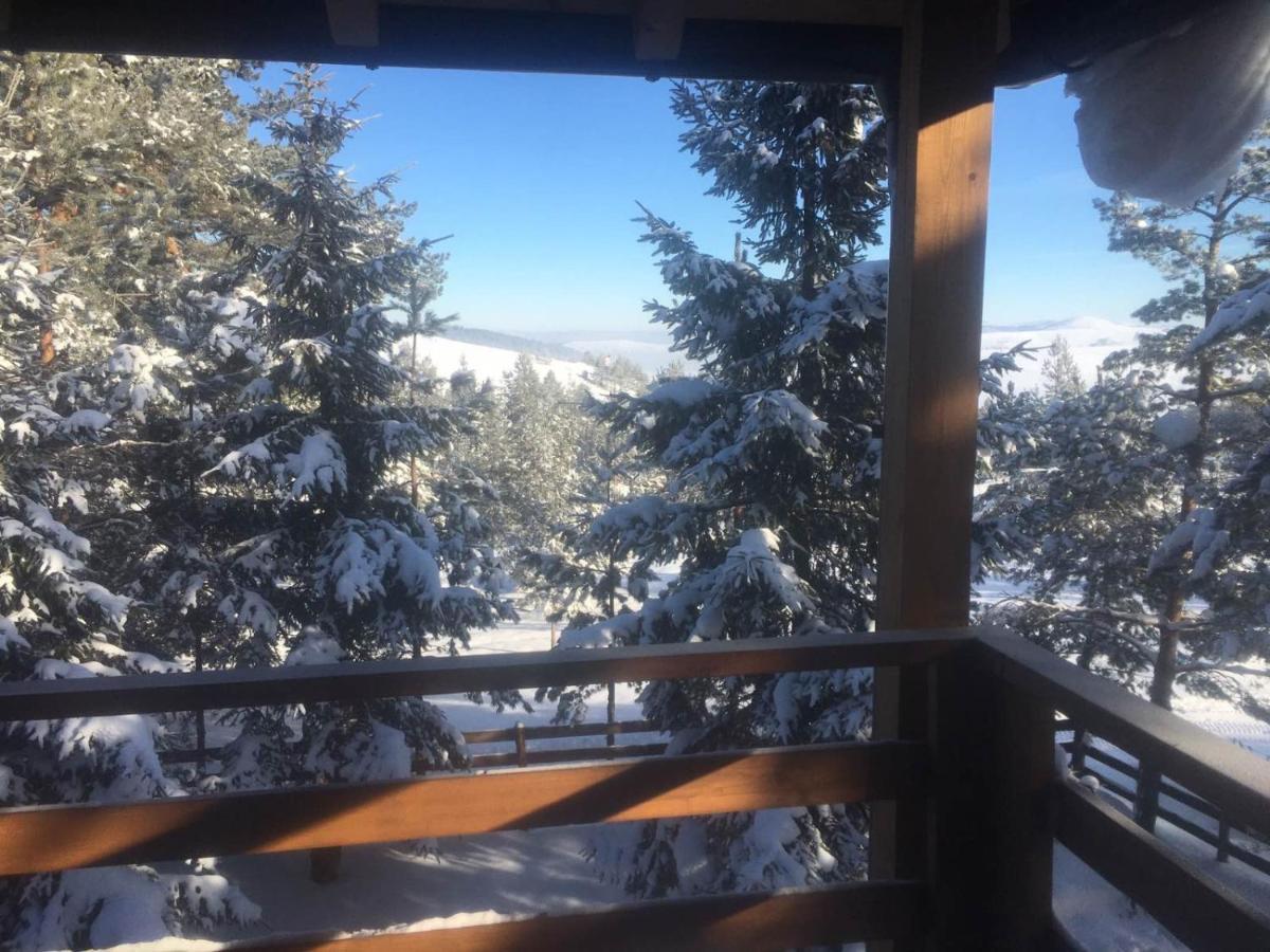 Apartmani Tornik-Planinska Kuca Zdravkovic Dobroselica Buitenkant foto