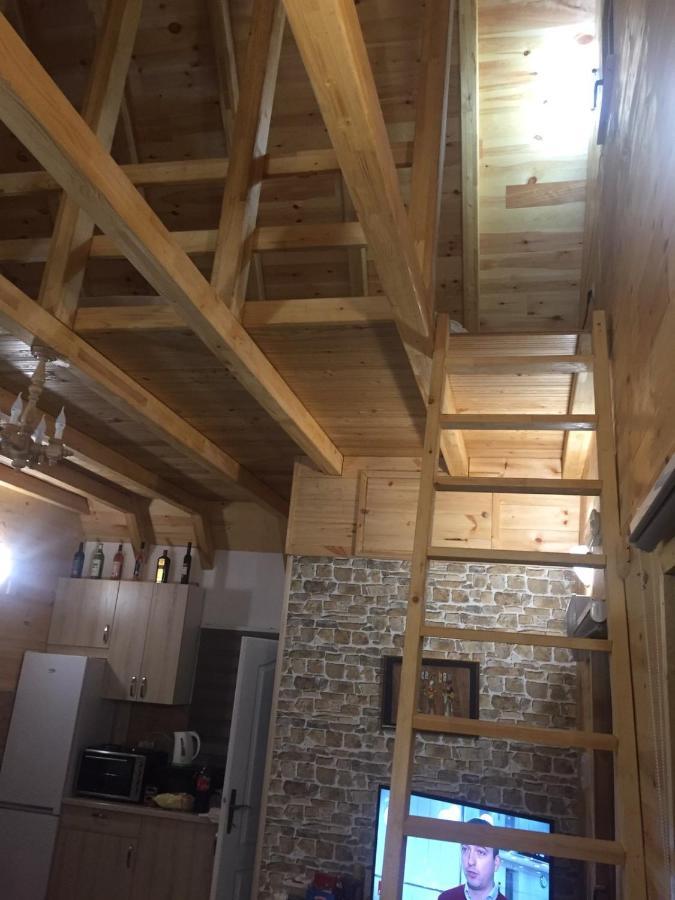 Apartmani Tornik-Planinska Kuca Zdravkovic Dobroselica Buitenkant foto