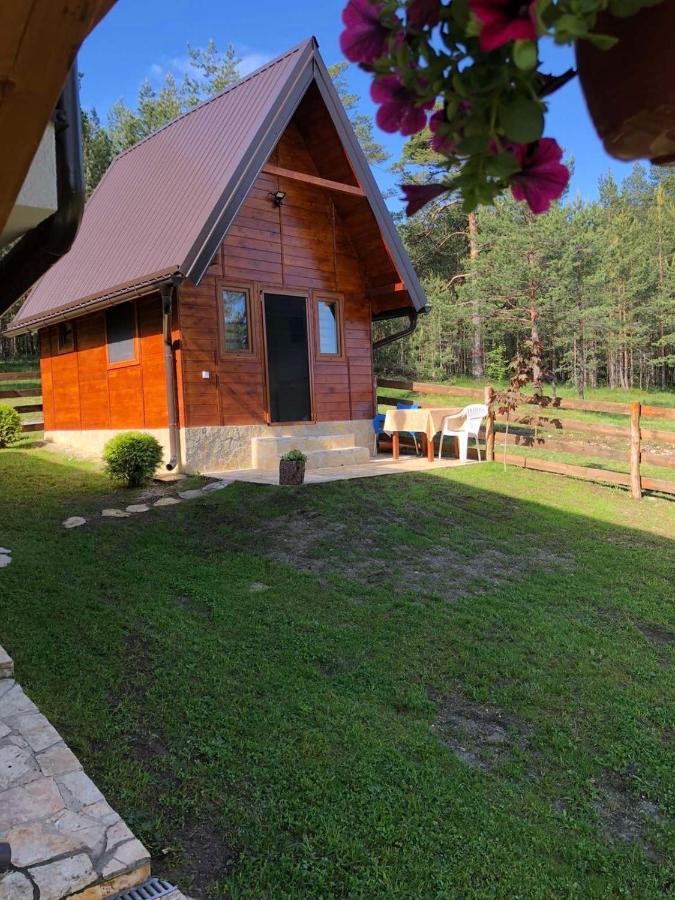Apartmani Tornik-Planinska Kuca Zdravkovic Dobroselica Buitenkant foto