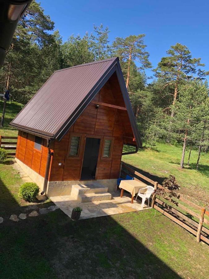 Apartmani Tornik-Planinska Kuca Zdravkovic Dobroselica Buitenkant foto